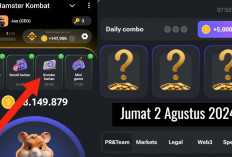 Sudah Keluar Combo Harian Hamster Kombat Hari Ini 2 Agustus 2024, Garap Hingga 5 Juta Koin Gratis