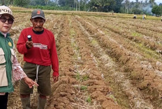 Pengecekan pH Tanah Sebelum Pemupukan Langkah Penting dalam Manajemen Pertanian Berkelanjutan