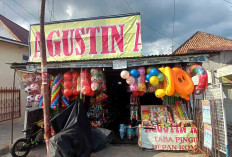 Beragam Pilihan Mainan Tersedia di Toko Mainan Agustin Lubuk Linggau, Harga Terjangkau