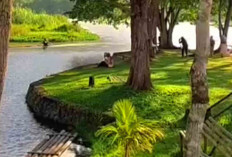 Rahasia Keindahan Danau Suro di Kepahiang, Tersembunyi di Dataran Tinggi Bengkulu