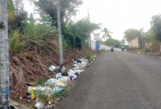 Lubuk Linggau Gawat Akan Pembuangan Sampah Liar Yang di Lakukan Oknum Masyarakat 