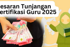 Segera Cair Tunjangan Sertifikasi Guru Juni 2025, Segini Besaran dan Kriteria Golongannya