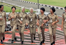 5 Sekolah Kedinasan Ini Bikin Kamu Jadi CPNS Sebelum Usia 25, Gak Percaya? Baca Ini