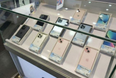 Harga iPhone Terbaru Akhir Maret 2026 Lengkap di iBox, Mulai Rp4 Jutaan