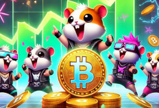 Update Harga Tukar 500.000 Koin Hamster Kombat Per 21 September 2024, Setara Gaji Presiden RI Setahun?