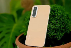 Infinix HOT 70 Series Segera Masuk Indonesia, Kantongi Sertifikasi dan Siap Ramaikan Pasar Entry-Level