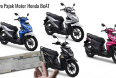 Ini Biaya Pajak Motor Honda BeAT, Lengkap Tahun dan Tipe Cek Disini