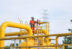 PLN Akselerasi Proyek Gasifikasi di Nias, Wujud Nyata Swasembada Energi