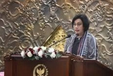 Sri Mulyani Bakal Hapus Tenaga Honorer dan Sudah Naikkan Gajinya Khusus 4 Kategori Ini Saja?