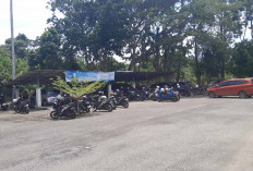 Saat WFA Antusias Masyakarat Ngurus Adminduk di Kabupaten Musi Rawas Cukup Tinggi 