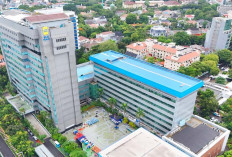 TOP! PLN Kembali Pertahankan Posisi Puncak Sektor Utilitas Fortune Southeast Asia 500