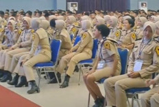 Belum Dibuka, Ini Jadwal Terbaru dan Syarat Sekolah Kedinasan 2025, Simak Kuota dan Link Daftarnya di Sini