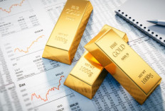 Pemula Jangan Asal Beli! Ikuti Langkah Strategi Emas Ini Biar Tetap Cuan