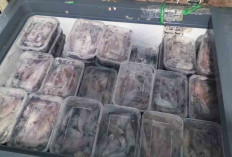 Cumi Beku Makin Diminati, Harga Terjangkau Jadi Pilihan Warga