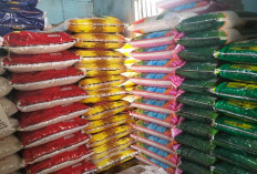 Dua Pekan Terakhir Harga Beras Melonjak, Pedagang Ungkap Penyebab