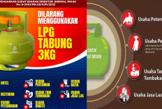 Hanya 4 Orang ini yang Berhak dengan Elpiji 3 Kg, Sesuai Kebijakan Pemerintah dan Kementerian ESDM