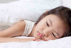 Anemia Karena Kekurangan Zat Besi, Atasi dengan Dua Makanan Ini 