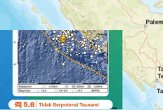 Masyarakat Diimbau Waspada, Gempa Magnitudo 5,6 Guncang 2 Bengkulu dan Lampung