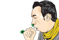 Sebanyak 505 Warga Muratara Idap TBC, Begini Langkah yang Dilakukan Dinkes 