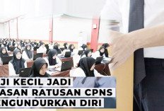 12 Alasan Pengunduran Diri Peserta CPNS Sebelum Dilantik, Terungkap Alasan Terbanyak Domisili