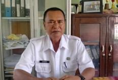 Lurah Jawa Kanan SS Lubuklinggau, Akan Laksanakan Karnaval Ini Untuk Meriahkan HUT RI ke 79