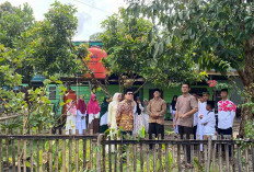 Anggota DPR RI Fraksi PKB Apresiasi Program Kemandirian Pangan Ponpes Al Haadi