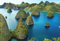 Raja Ampat Pulau Eksotis, Wisata yang Harus dikunjungi  