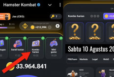 Sudah Keluar Combo Harian Hamster Kombat Hari Ini 10 Agustus 2024, Garap Hingga 5 Juta Koin Gratis