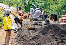 Dana Desa Dipangkas 60 Persen, Kepala Desa di Musi Rawas Putar Otak Cari Anggaran