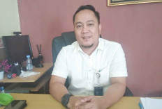 Kerjasama dengan 27 Penggilingan, Bulog Target Serap 6.700 Ton Gabah dari Petani  