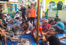 Lima Sapi dan Tujuh Kambing, Kurban Masjid Al-Hamzah Taba Jemekeh Lubuk Linggau Meningkat Tahun Ini