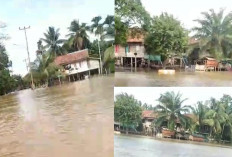 Update! Muratara Masih Banjir, Warga Beringin Makmur 1 dan Bingin Teluk Butuh Bantuan