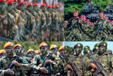 10 Pasukan Elit TNI di Indonesia yang Membuat Dunia Ngeri Ketakutan, No 1 Paling Ditakuti 