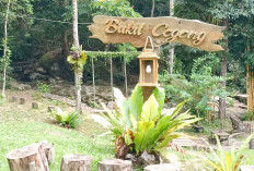 Bukit Cogong Musi Rawas Cocok Bagi Pemburu Spot Foto Estetik 