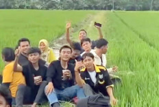 COD Kopi di U2 Karyadadi: Tempat Nongkrong Lesehan di Persawahan