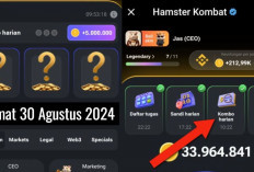 Combo Harian Hamster Kombat Hari Ini 30 Agustus 2024, Yuk Cek