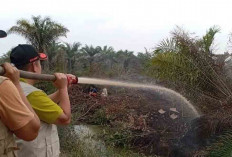 Waspada Karhutlah. Diprediksi Musim Kemarau di Sumsel Durasinya Lebih Panjang Tahun Ini