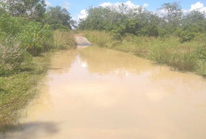 Banjir di Jalan Pelda Husni II Tak Kunjung Surut, Warga Kel. Marga Mulya Minta Perhatian Pemkot Lubuk Linggau