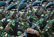 Kesempatan Emas Jadi Prajurit TNI AD 2026: Ini Panduan Daftar dan Persyaratannya