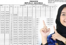 Kabar Gembira: Gaji PNS Naik 2025, Inilah Profesi yang Paling Diuntungkan