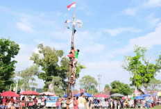 Wow, Bupati Muba Beri Tambahan Hadiah 1 Pohon Pinang Rp 1 Juta  