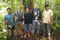 Buaya Sumpit Bikin Desa Sadar Karya Musi Rawas jadi Tujuan Wisatawan Luar Negeri 