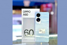 Oppo A60: Smartphone Terlaris 2024 dengan Fitur Tahan Banting dan Harga Terjangkau