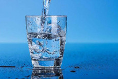 Pentingnya Minum Air Putih yang Cukup untuk Kesehatan Tubuh