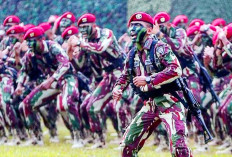 Bakal Ada 22 Kodan Baru, Daftar 6 yang Diresmikan Sekaligus Pelantikan Wakil Panglima TNI 2025