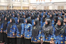 DPR Usulkan Gaji PPPK Guru dan Nakes Ditanggung Pusat