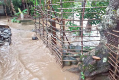 Sungai Nile Meluap, 60 Rumah di Selangit Musi Rawas Terendam Banjir