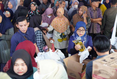 Cabai dan Ayam Ras di Sumsel Alami Fluktuasi Harga