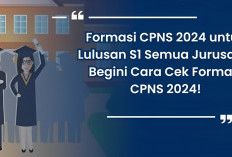 Buruan Cek! Ini 16 Formasi CPNS 2024 yang Menerima Khusus S1 Semua Jurusan