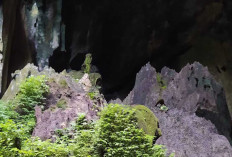 Gua Napalicin, Warisan Sejarah yang Tersembunyi di Muratara